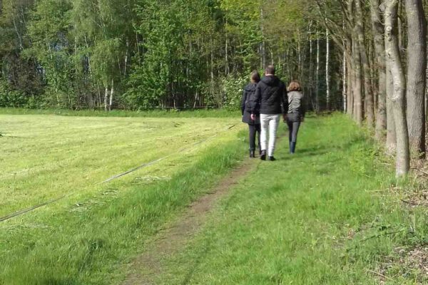 Boswandeling Boswandeling maken