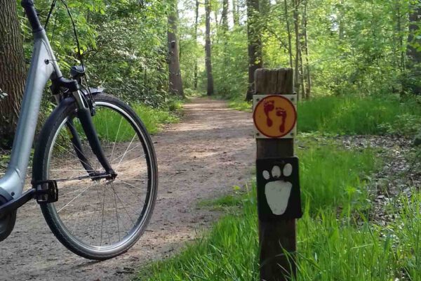 Boswandeling Boswandeling maken