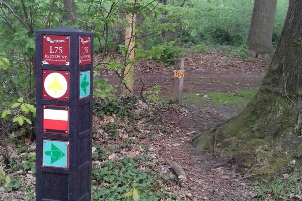 Boswandeling Door de bossen heen wandelen