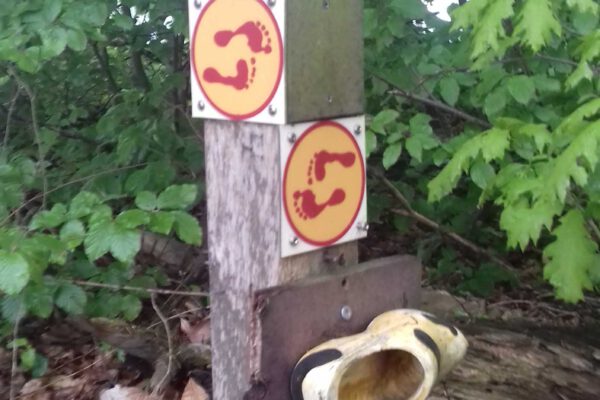 Wandelroutes Wandelroutes volgen