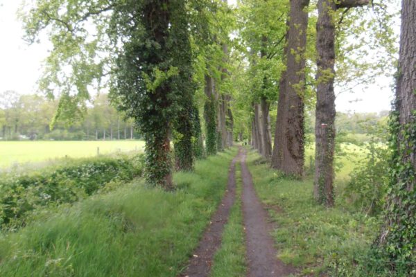 Geocaching Geocaching