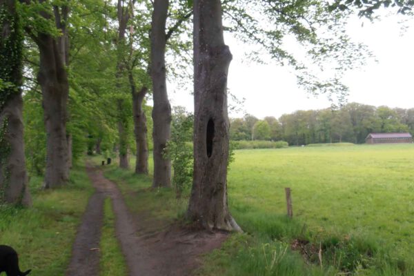 Geocaching Geocaching