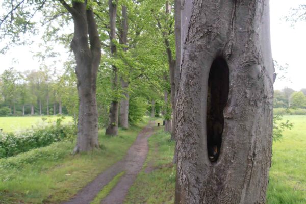 Geocaching Geocaching