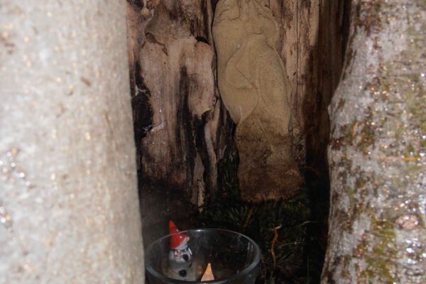 Geocaching Geocaching